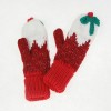 Knitted Gloves